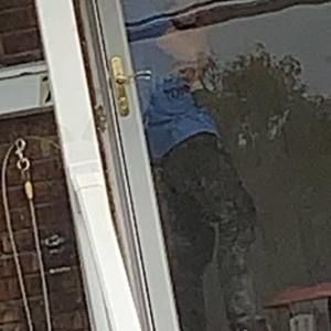 Meet your Posher, Timmy